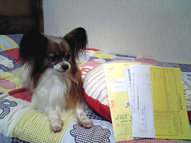 仲良し兄弟 いつもほのぼの♪