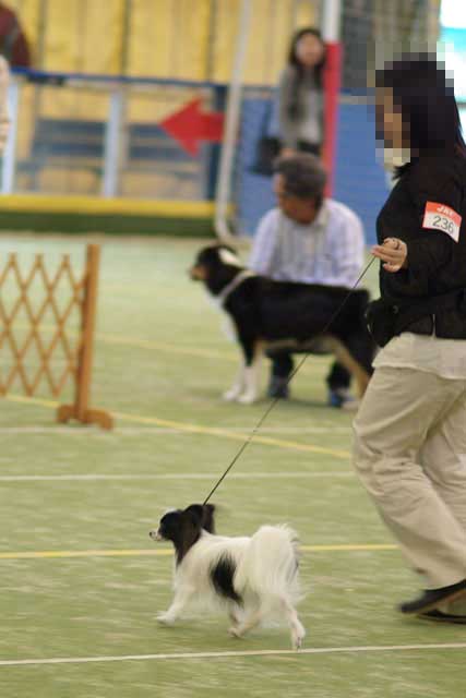 埼玉北クルーガーフントクラブ展