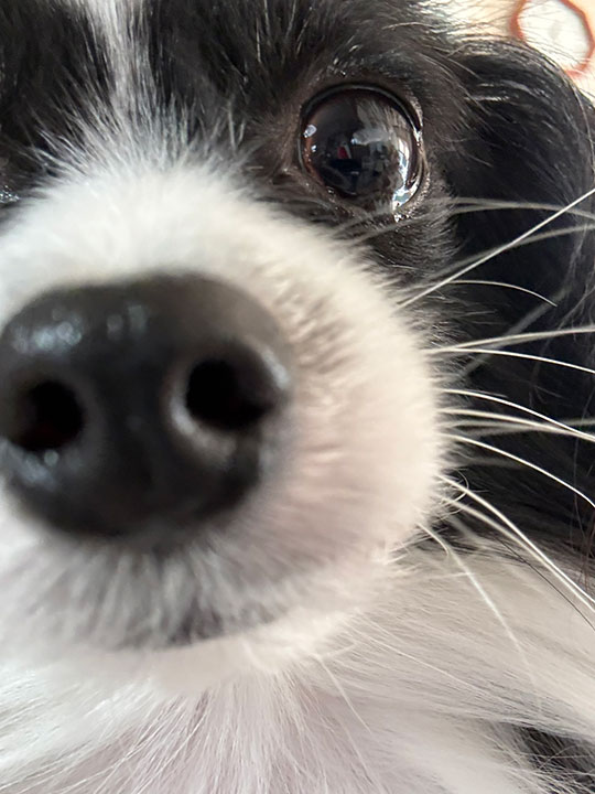 かずちん家2025年三大ニュース!